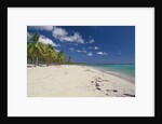Beach in the West Indies by Anonymous