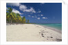 Beach in the West Indies by Anonymous
