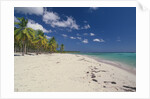 Beach in the West Indies by Anonymous