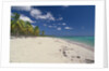 Beach in the West Indies by Anonymous