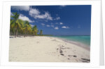 Beach in the West Indies by Anonymous
