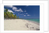 Beach in the West Indies by Anonymous
