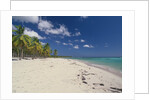 Beach in the West Indies by Anonymous