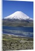 Lauca National Park by Anonymous