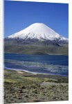 Lauca National Park by Anonymous