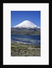 Lauca National Park by Anonymous