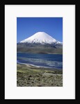Lauca National Park by Anonymous