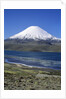 Lauca National Park by Anonymous