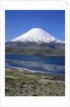 Lauca National Park by Anonymous