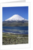 Lauca National Park by Anonymous