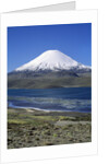 Lauca National Park by Anonymous