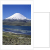 Lauca National Park by Anonymous