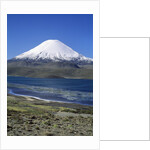 Lauca National Park by Anonymous