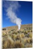 Atacama Desert by Anonymous