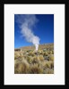 Atacama Desert by Anonymous