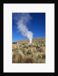 Atacama Desert by Anonymous