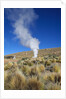 Atacama Desert by Anonymous