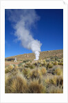 Atacama Desert by Anonymous