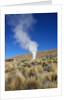 Atacama Desert by Anonymous