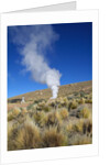 Atacama Desert by Anonymous