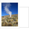 Atacama Desert by Anonymous