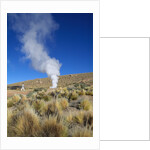 Atacama Desert by Anonymous