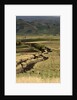 Track on Chimborazo Volcano by Anonymous