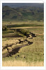 Track on Chimborazo Volcano by Anonymous