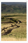 Track on Chimborazo Volcano by Anonymous