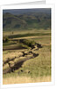 Track on Chimborazo Volcano by Anonymous