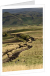 Track on Chimborazo Volcano by Anonymous