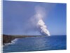 Volcanoes National Park by Anonymous