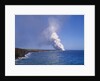 Volcanoes National Park by Anonymous