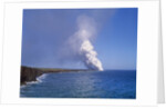 Volcanoes National Park by Anonymous