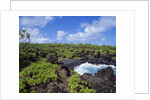 Wai'anapanapa park by Anonymous