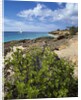 Coupecoy beach by Anonymous
