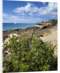 Coupecoy beach by Anonymous