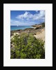 Coupecoy beach by Anonymous
