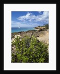Coupecoy beach by Anonymous