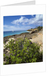 Coupecoy beach by Anonymous