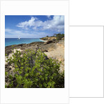 Coupecoy beach by Anonymous