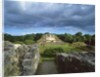 Maya Ruins by Anonymous