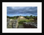Maya Ruins by Anonymous