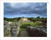 Maya Ruins by Anonymous