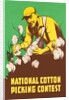 Poster for National Cotton Picking Contest by Anonymous