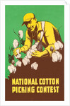 Poster for National Cotton Picking Contest by Anonymous