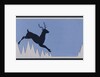 Stylized Leaping Deer by Anonymous