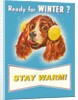 Ready for Winter? Stay Warm Dog with Earmuffs by Anonymous