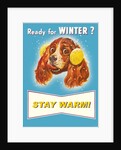 Ready for Winter? Stay Warm Dog with Earmuffs by Anonymous