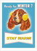 Ready for Winter? Stay Warm Dog with Earmuffs by Anonymous